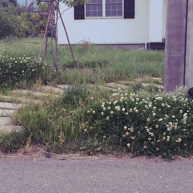fukuさんの実例写真