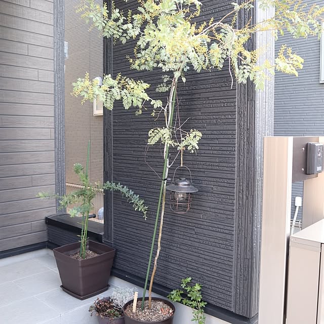 kmerciさんの部屋