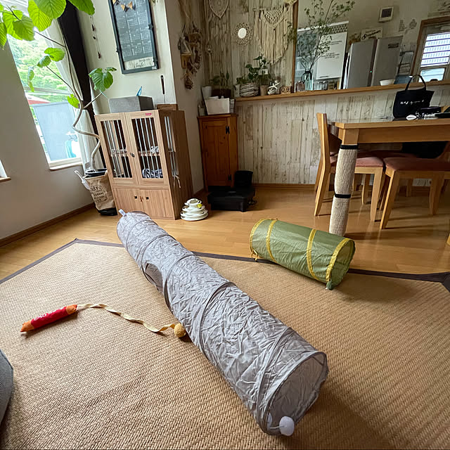 Akiさんの実例写真