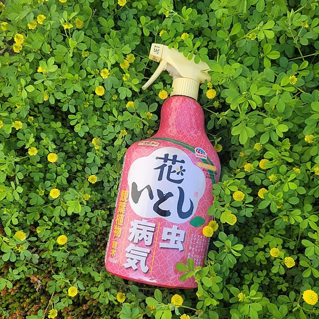 reireiさんの部屋