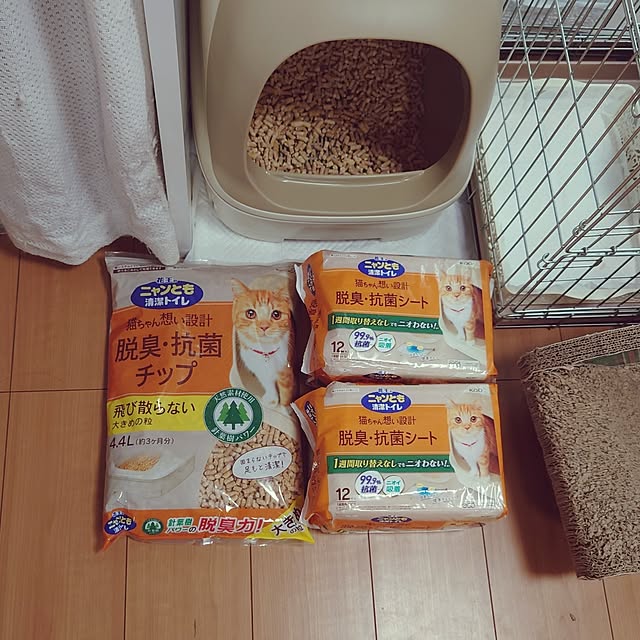 noguriさんの部屋