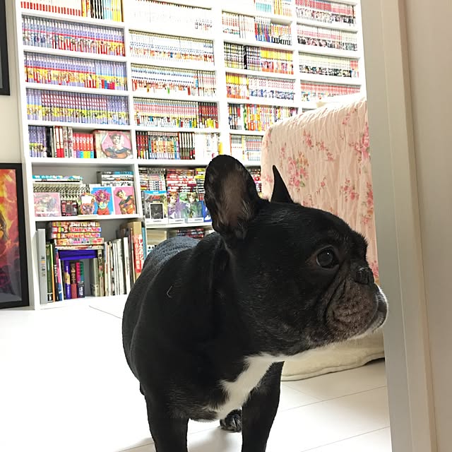 実例写真