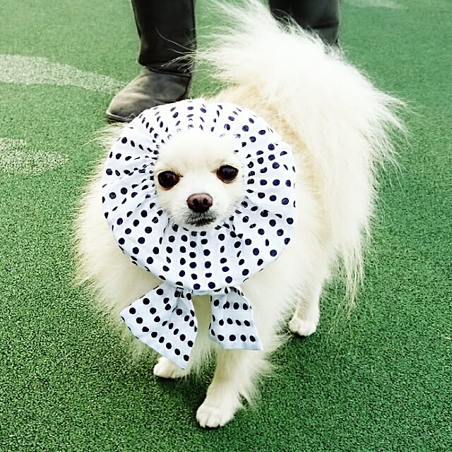 yukaさんの実例写真