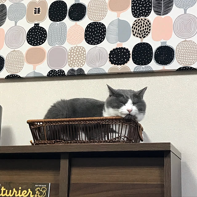hacchiさんの実例写真