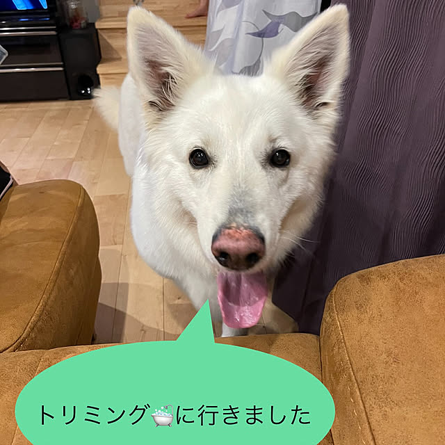 manekinekoさんの実例写真