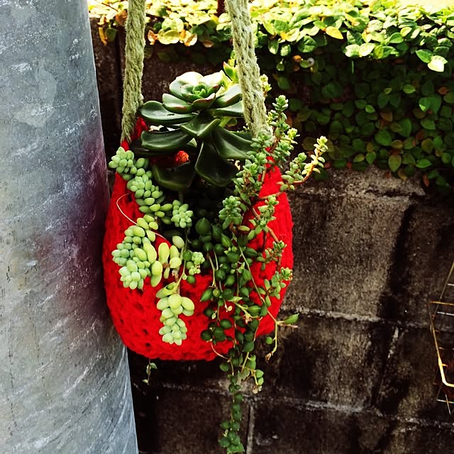 Mayumiさんの実例写真