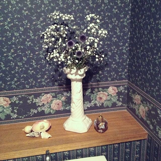 majyoさんの実例写真