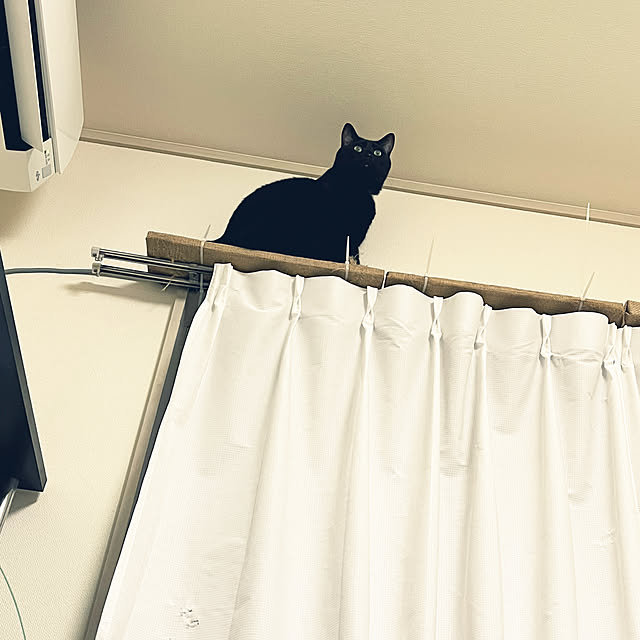 nyaさんの実例写真