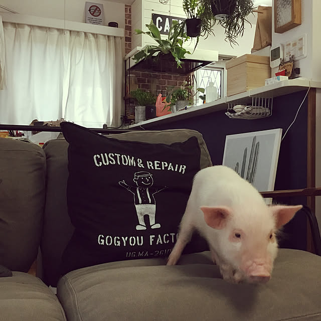 UGさんの実例写真