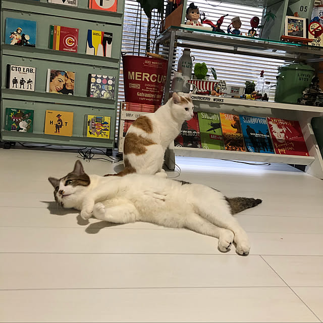 arayanさんの実例写真