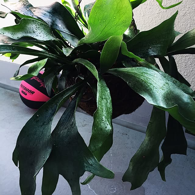 405.mさんの実例写真
