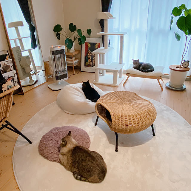 ineko_kさんの実例写真