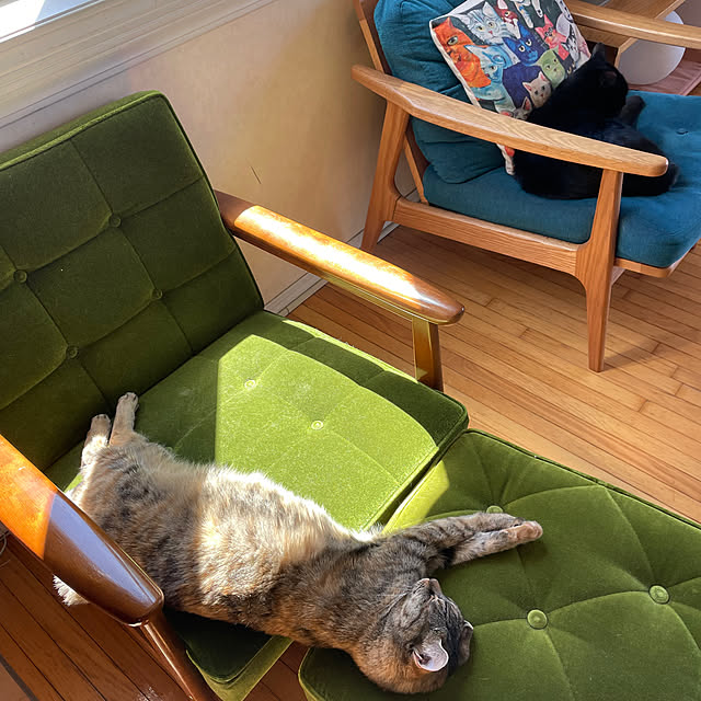 猫 カリモク60 Kチェアのおすすめ商品とおしゃれな実例 猫 カリモク60 Kチェアのおすすめ商品とおしゃれな実例