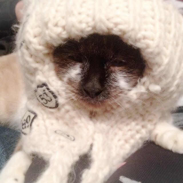 sawaさんの実例写真