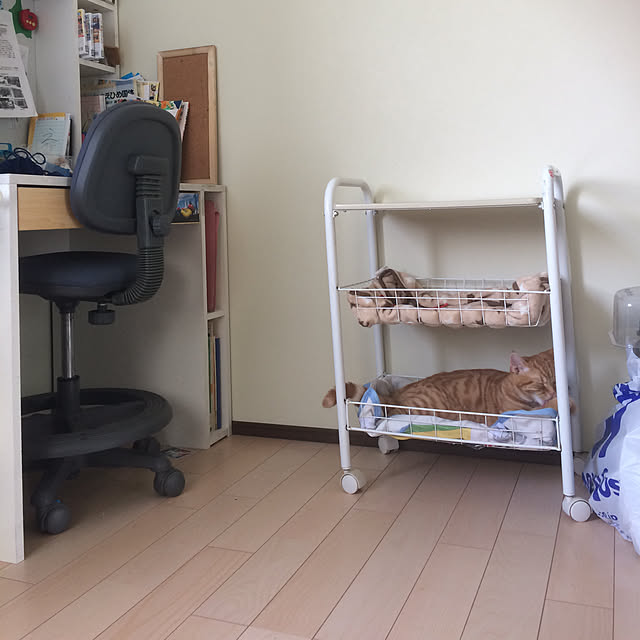 nekoさんの実例写真