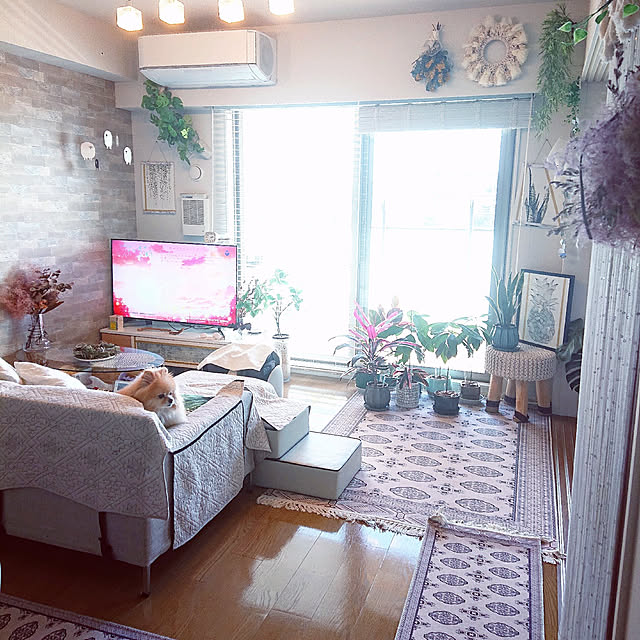 maikeru.3384さんの実例写真