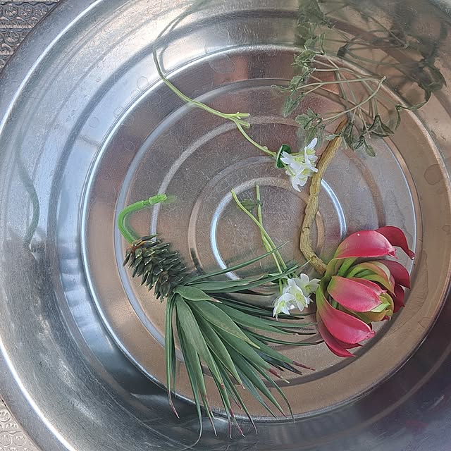 shinoさんの部屋