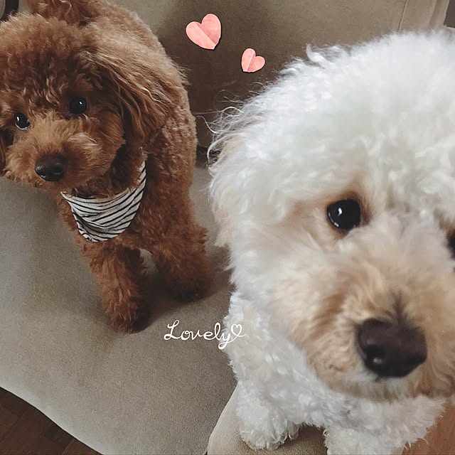 tomoさんの実例写真