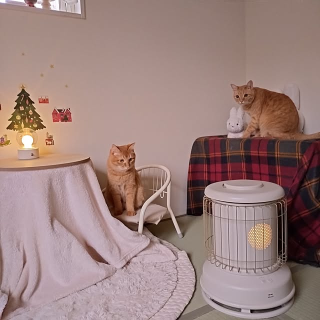 mayutan.さんの部屋