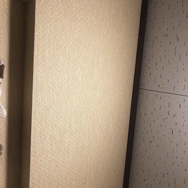 azishioさんの実例写真