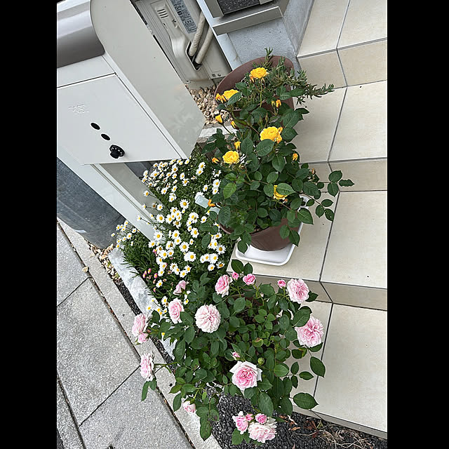Hさんの部屋