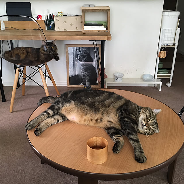 mikomaruさんの実例写真