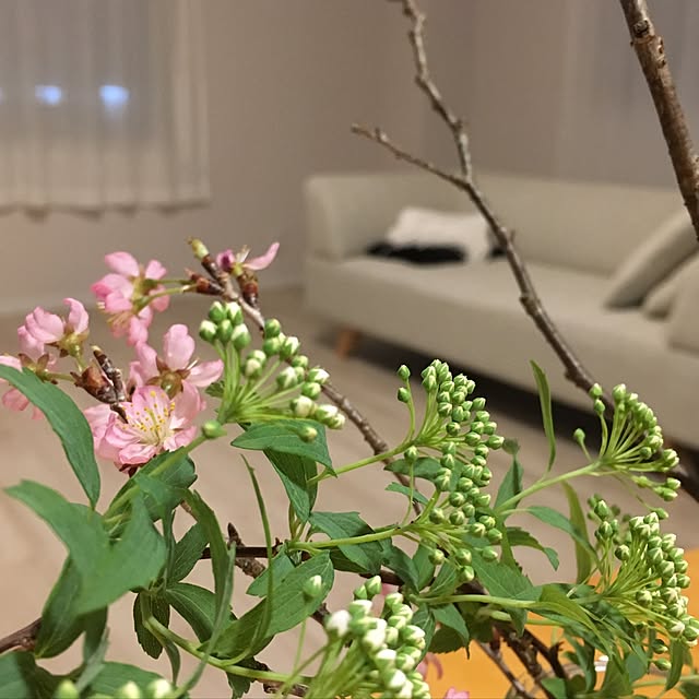 実例写真