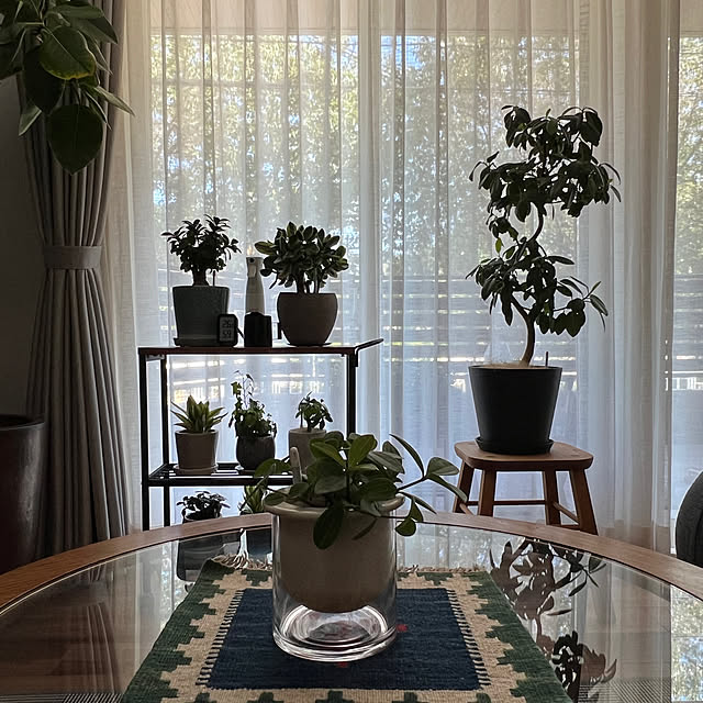 stさんの部屋