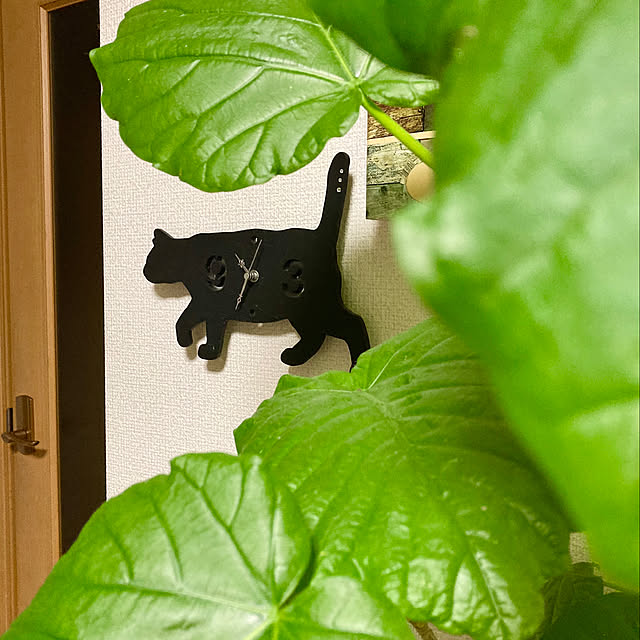 y---iさんの実例写真