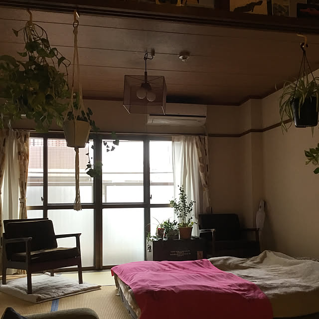 tamaさんの実例写真