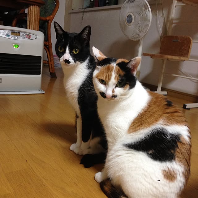 Kinanさんの実例写真