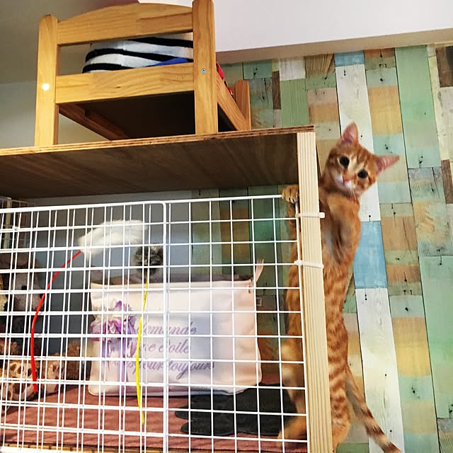 miyamiさんの実例写真