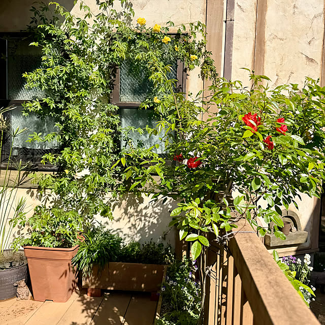 tabasaさんの部屋