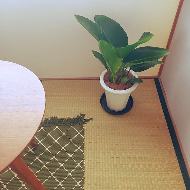 rhuさんの実例写真
