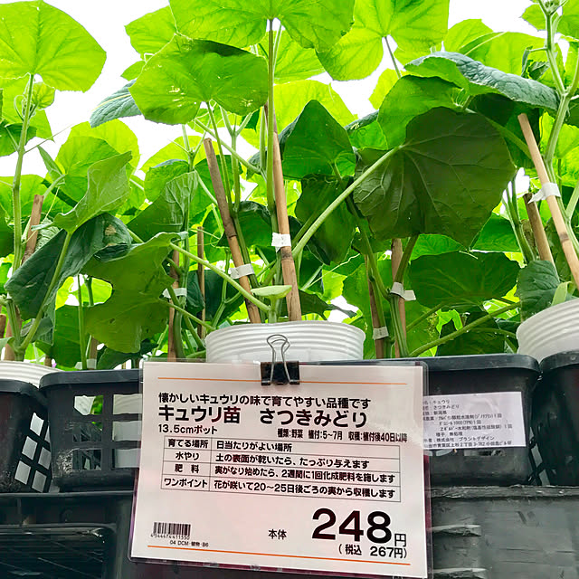 sakurasakuさんの実例写真