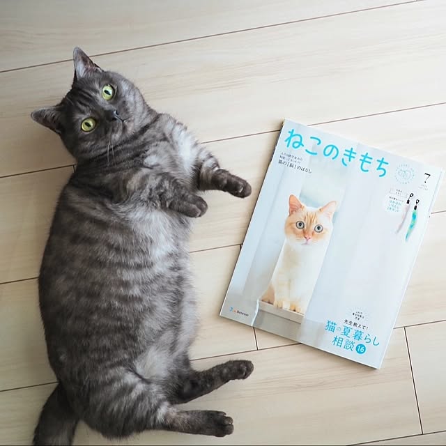 tomatoさんの実例写真