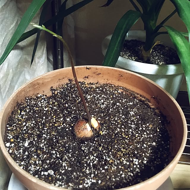 nonohanaさんの実例写真