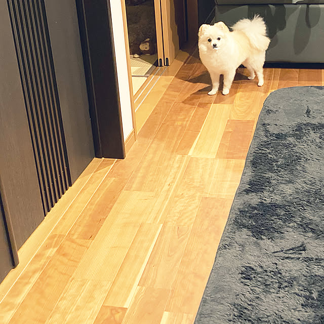 1546さんの実例写真