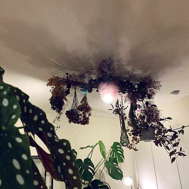 Tenさんの部屋