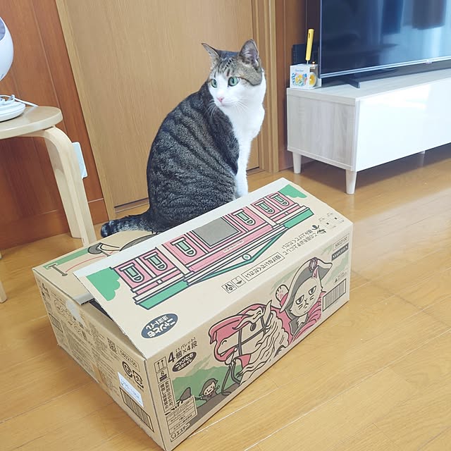 nachiさんの部屋