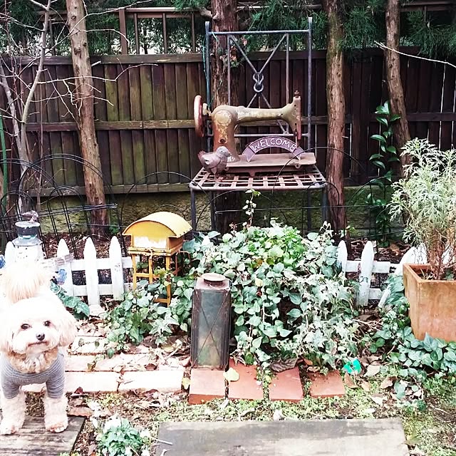 kohanaさんの実例写真