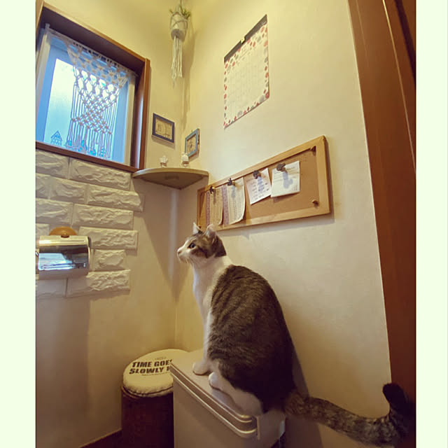 Lufuさんの実例写真