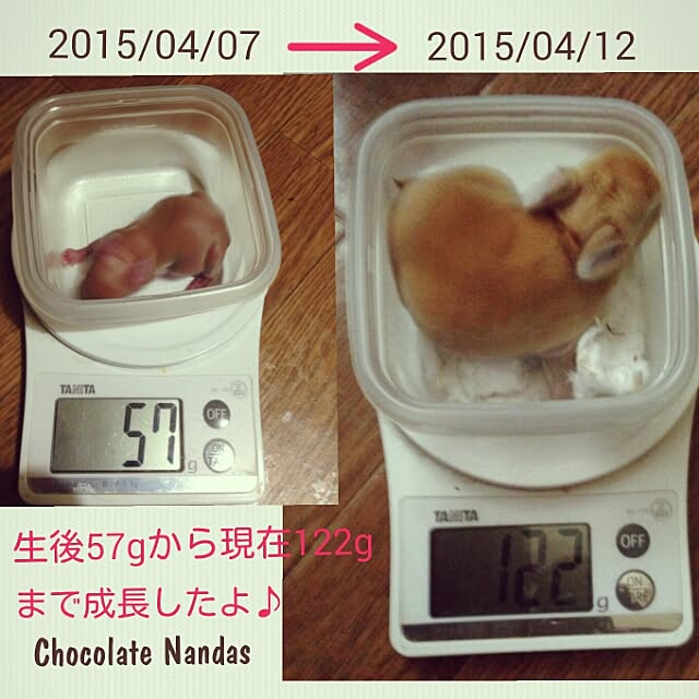 ChocolateNandasさんの実例写真