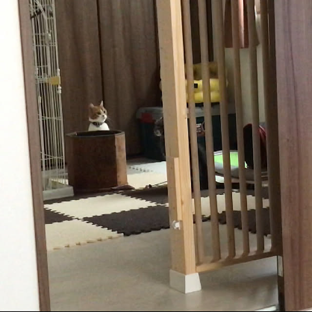 KotarouKunさんの実例写真