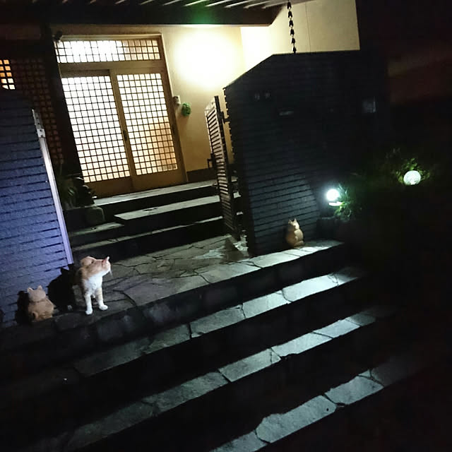 uchizukonyanさんの実例写真