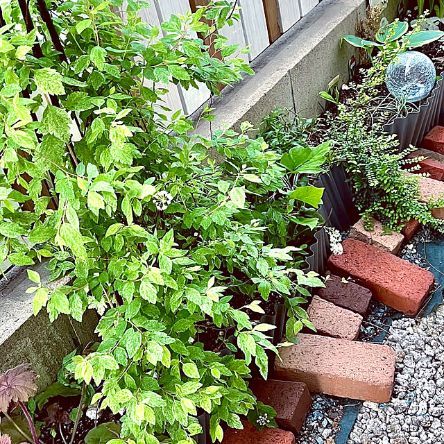 hinamamaさんの部屋
