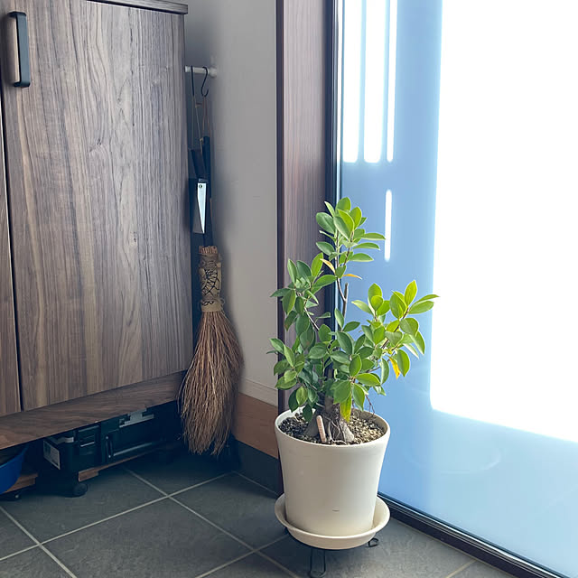 mkmkmoominさんの部屋