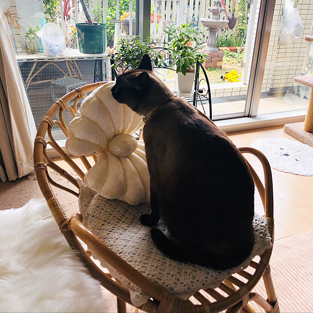 dodoさんの実例写真