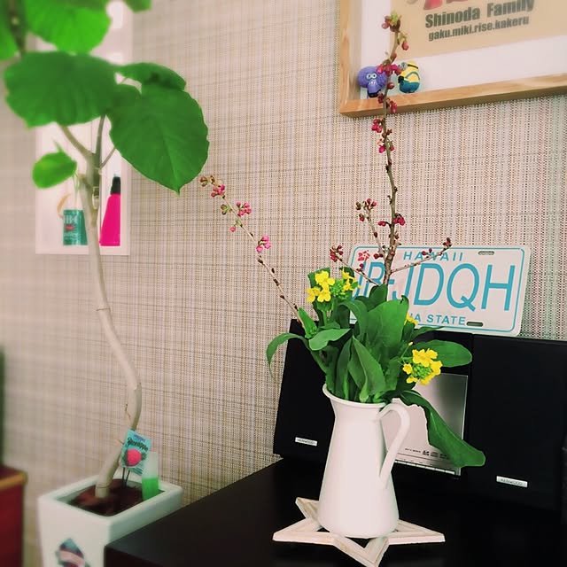 RH/WTW/菜の花/Cherry blossoms/桜...などのインテリア実例 - 2016-03-03 08:59:02