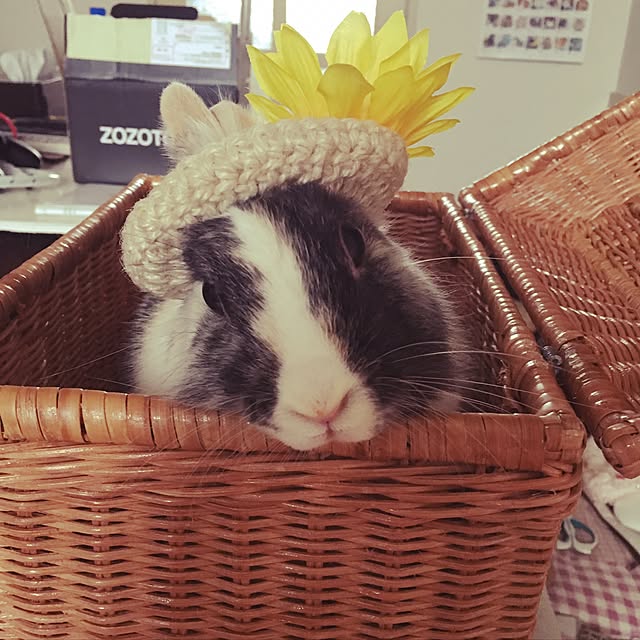 komugiさんの実例写真
